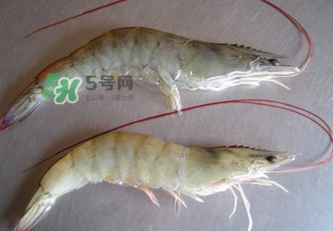 太湖白蝦多少錢一斤？太湖白蝦干多少錢一斤