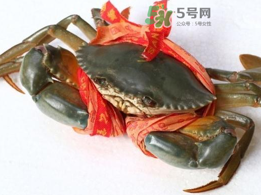 青蟹可以冷凍嗎？青蟹冷凍了還可以吃嗎？