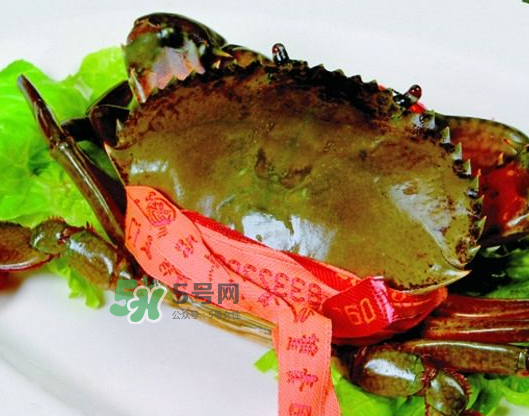 青蟹能放幾天？青蟹能活多久？