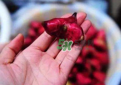 紅菱怎么吃？吃紅菱有什么好處？