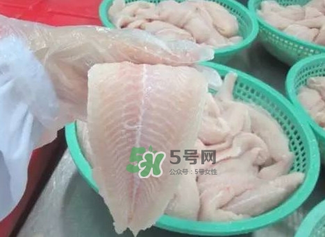巴沙魚有刺嗎？巴沙魚有寄生蟲嗎