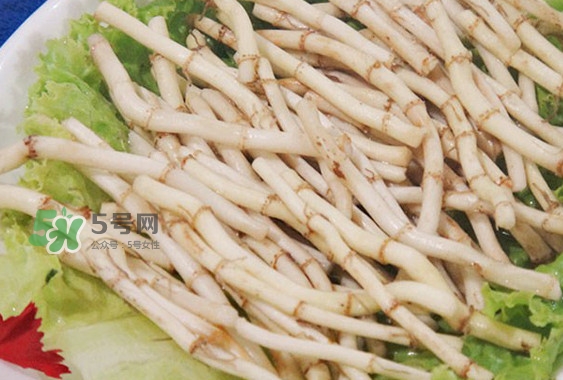 折耳根是什么？折耳根是哪里的特產？