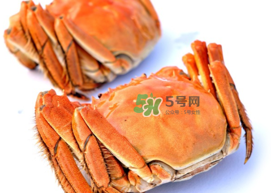板蟹蒸多長時間？板蟹蒸多久時間能熟？