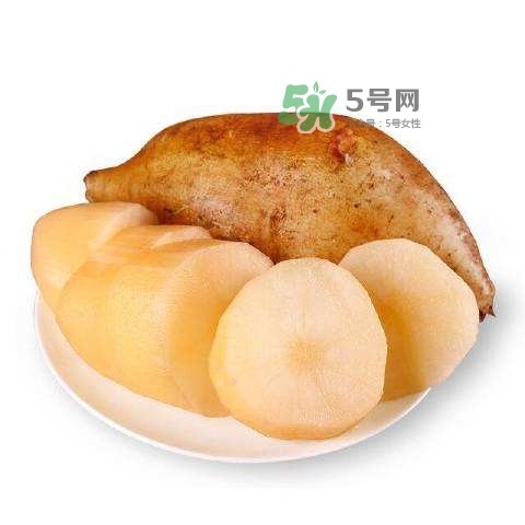 雪蓮果怎么挑？雪蓮果怎么儲(chǔ)存方法？