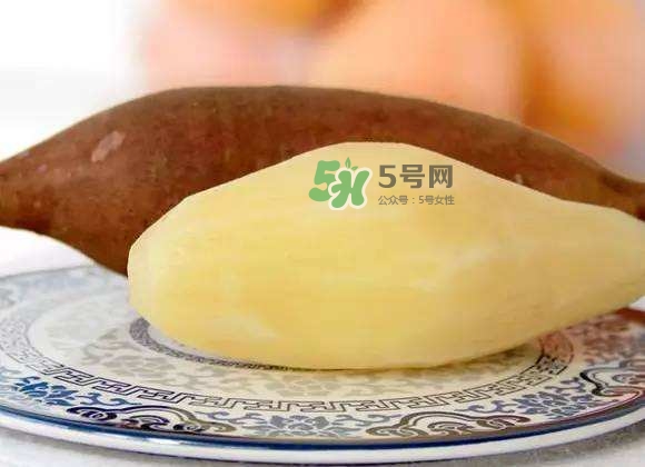 雪蓮果是地瓜嗎？雪蓮果和紅薯的區別