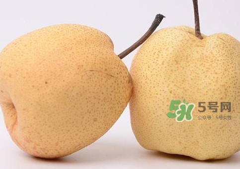 碭山梨什么時候成熟？碭山梨幾月份成熟