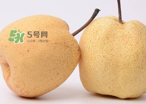 碭山梨好還是皇冠梨好？碭山梨和皇冠梨的區(qū)別