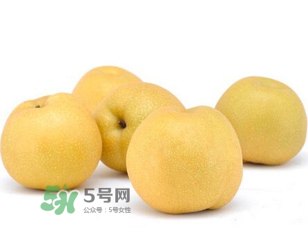 碭山梨什么時候成熟？碭山梨幾月份成熟