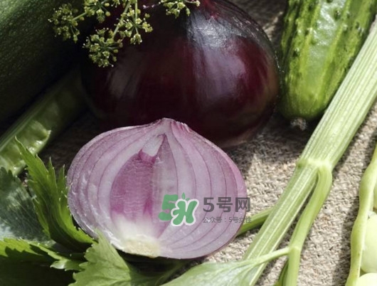 皮芽子發芽了可以吃嗎？新疆人為什么都愛吃皮芽子