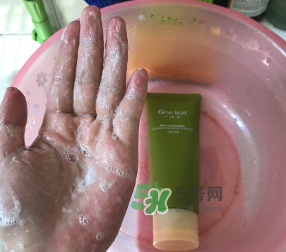 一葉子補水潔面乳怎么樣？一葉子補水洗面奶好用嗎？