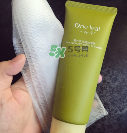 一葉子補水潔面乳怎么樣？一葉子補水洗面奶好用嗎？