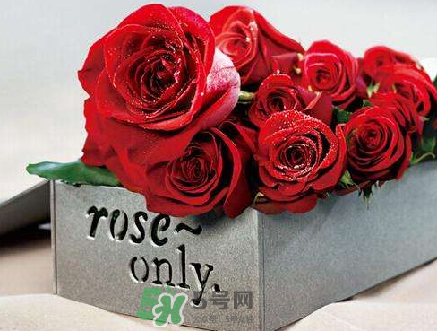 roseonly怎么樣？roseonly好看嗎？