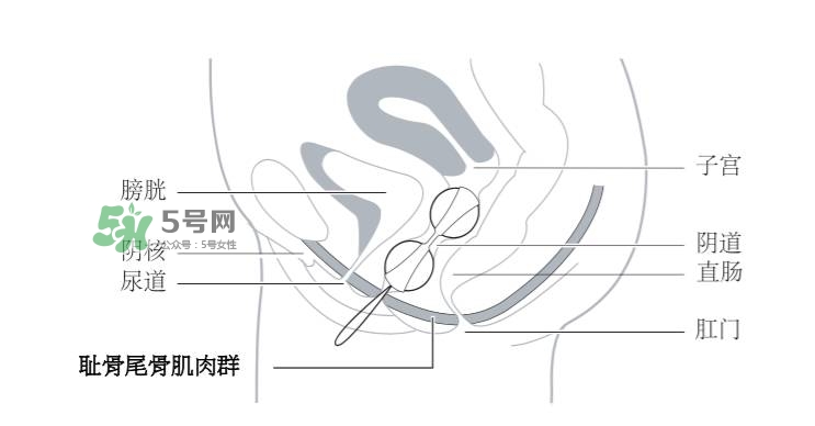 lelo露娜球如何使用方法？露娜球使用感受