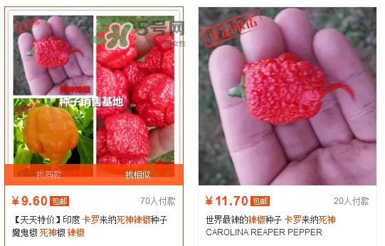 卡羅萊納死神辣椒中國(guó)有嗎？死神辣椒哪里有賣