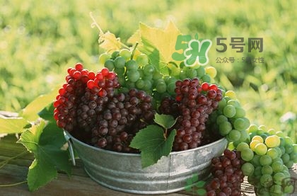 秋天成熟的水果有哪些？秋天吃水果有哪些禁忌