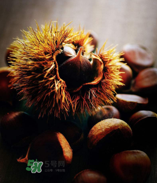 板栗能補腎嗎？板栗補腎陰還是腎陽？