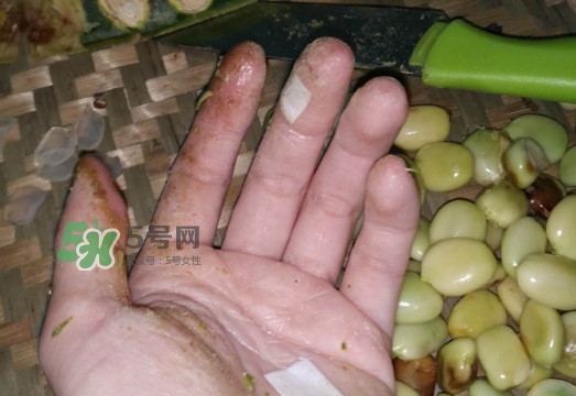 皂角米是怎么剝出來的？皂角米是酸性還是堿性