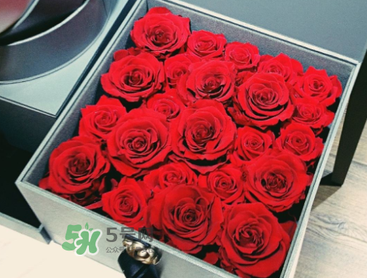 roseonly怎么買？roseonly如何買第二次？