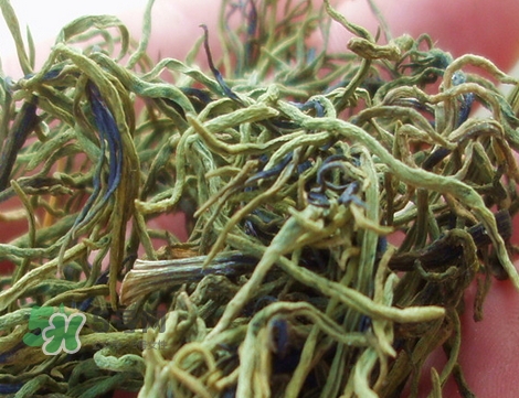 海英菜的營養價值_海英菜的功效與作用及食用方法