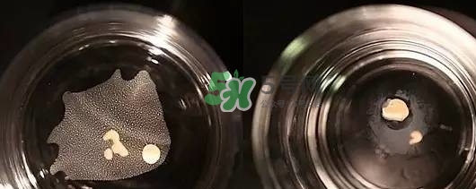 資生堂智能持久粉底液怎么樣？資生堂智能粉底液怎么用