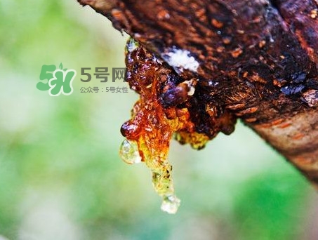 桃膠是發物嗎？桃膠是中藥嗎