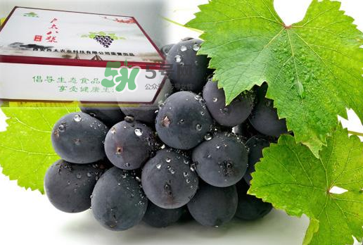 戶太八號什么時候成熟？戶太八號幾月份成熟？
