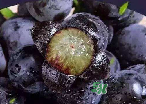 戶太八號多少錢一斤？戶太八號為什么在全國很有名？