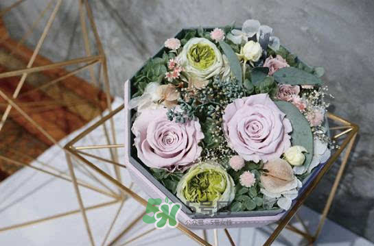 野獸派永生花會死嗎？野獸派永生花是什么？