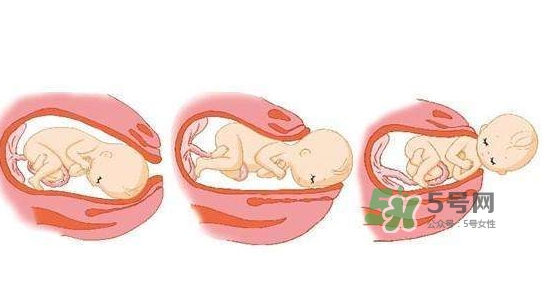 胎兒什么時候入盆？胎兒入盆后胎動會減少嗎？