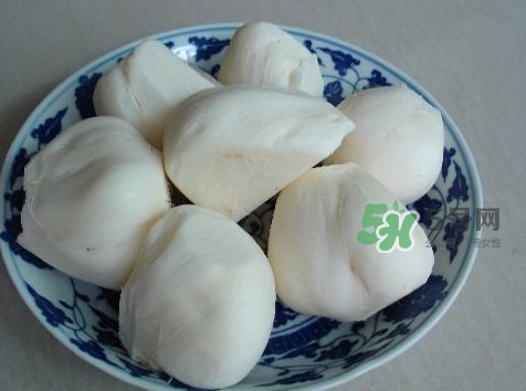 涼薯是什么東西？涼薯是地瓜嗎？
