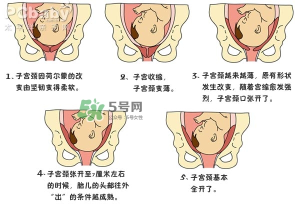 生孩子的過程是怎樣的？生孩子的真實過程