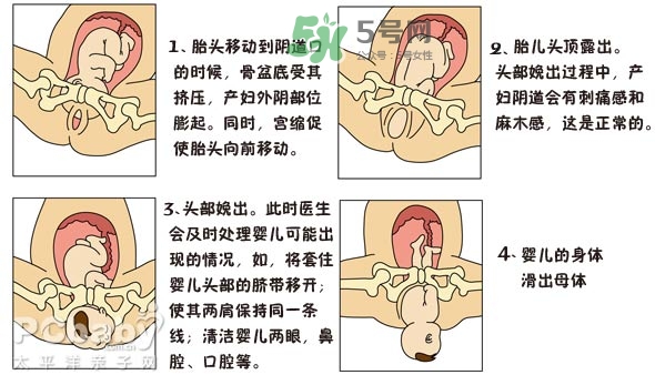 生孩子的過程是怎樣的？生孩子的真實過程