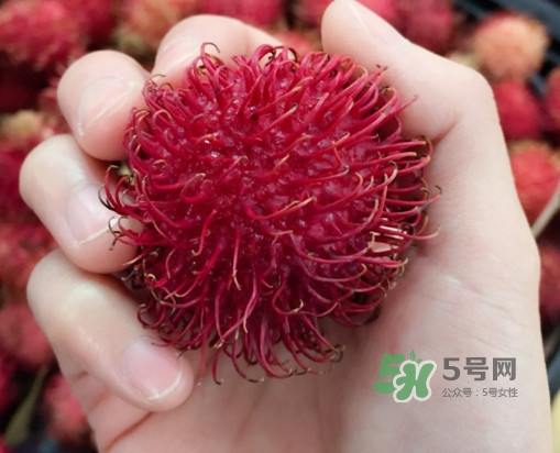 吃紅毛丹對(duì)身體有什么好處？紅毛丹有什么營(yíng)養(yǎng)價(jià)值
