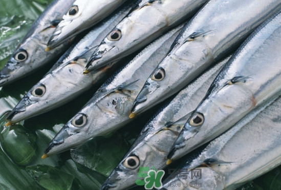 秋刀魚多少錢一斤2017？秋刀魚什么季節吃最好