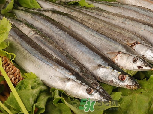 秋刀魚為什么那么便宜？秋刀魚為什么叫秋刀魚