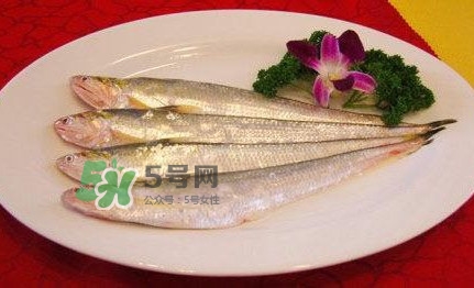 秋刀魚是刀魚嗎？秋刀魚和刀魚的區別