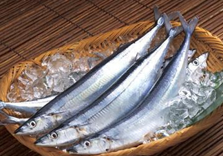 秋刀魚是刀魚嗎？秋刀魚和刀魚的區別
