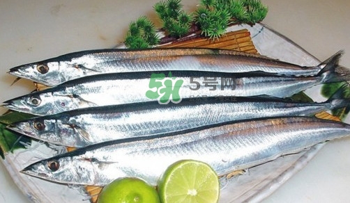 秋刀魚是刀魚嗎？秋刀魚和刀魚的區別