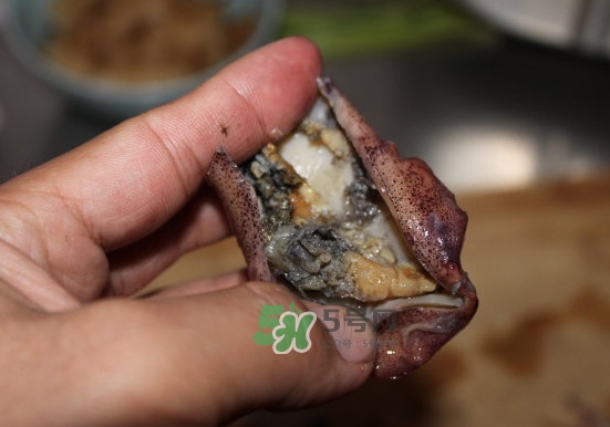 筆管魚(yú)怎么清洗？筆管魚(yú)怎么處理