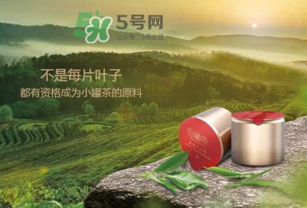 小罐茶是什么茶？小罐茶是哪八種茶？