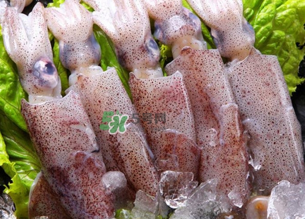 筆管魚(yú)怎么清洗？筆管魚(yú)怎么處理