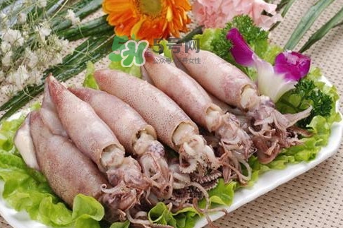 筆管魚怎么做好吃？筆管魚有什么營養