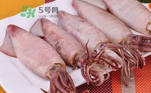 海兔子是小魷魚(yú)嗎？海兔子和魷魚(yú)的區(qū)別