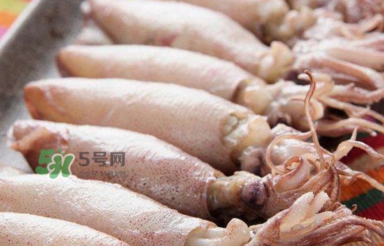 海兔子是小魷魚(yú)嗎？海兔子和魷魚(yú)的區(qū)別
