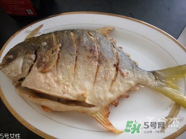 金鯧魚是海魚嗎？金鯧魚的刺多嗎？
