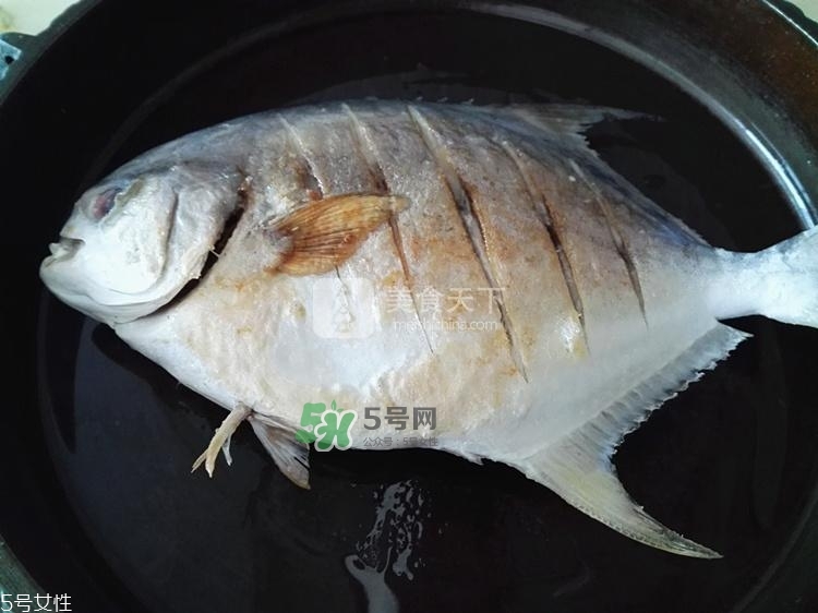 金鯧魚的營養價值 金鯧魚的功效作用