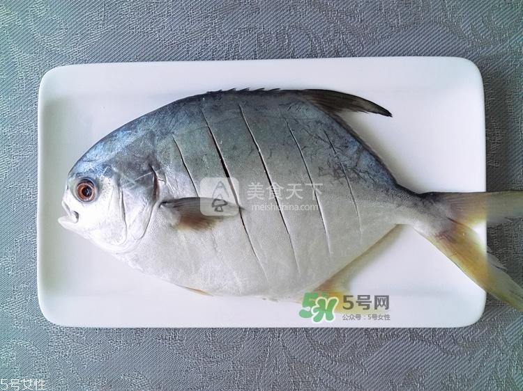 金鯧魚的營養價值 金鯧魚的功效作用