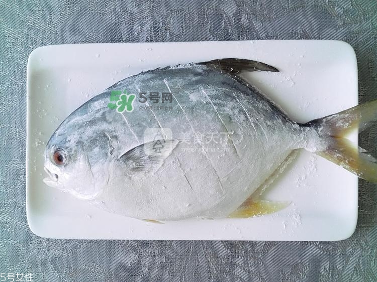 金鯧魚的營養價值 金鯧魚的功效作用