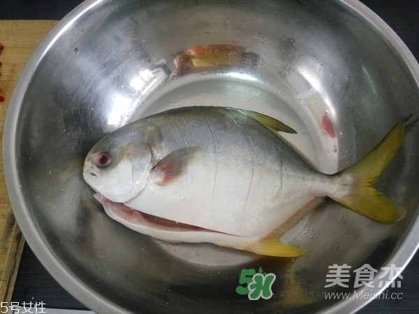 金鯧魚是海魚嗎？金鯧魚的刺多嗎？