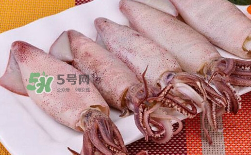 筆管魚怎么做好吃？筆管魚有什么營養